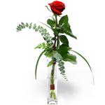 Ankara Bat�kent �i�ek sipari�i sitemizin g�rsel �r�n� Camda sadece tek k�rm�z� g�l Ankara �i�ek g�nder firmas� �ahane �r�n�m�z 