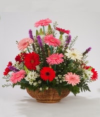 Ankara Bat�kent Yenimahalle �i�ek�i firma �r�n�m�z Kar���k Gerbera mevsim sepeti �i�e�i Ankara �i�ek g�nder firmas� �ahane �r�n�m�z 