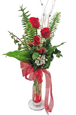 Ankara Bat�kent �i�ek yolla d�kkan�m�zdan sadece etkileme g�lleri Ankara �i�ek g�nder firmas� �ahane �r�n�m�z 